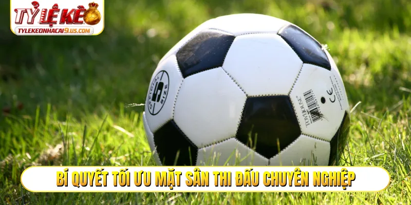 Bí quyết tối ưu mặt sân thi đấu chuyên nghiệp