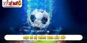 Mẹo cá độ tránh thua liên tiếp